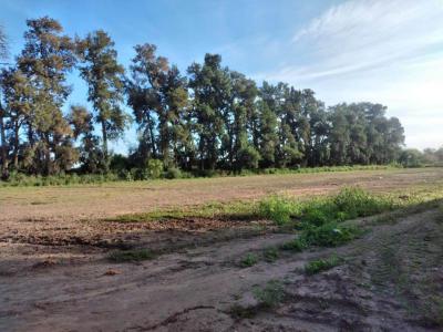 Campos Fincas Chacras Venta Santiago Del Estero INMOBILIARIA SUMA VENDE CAMPO DE 25 HECTREAS EN FERNANDEZ